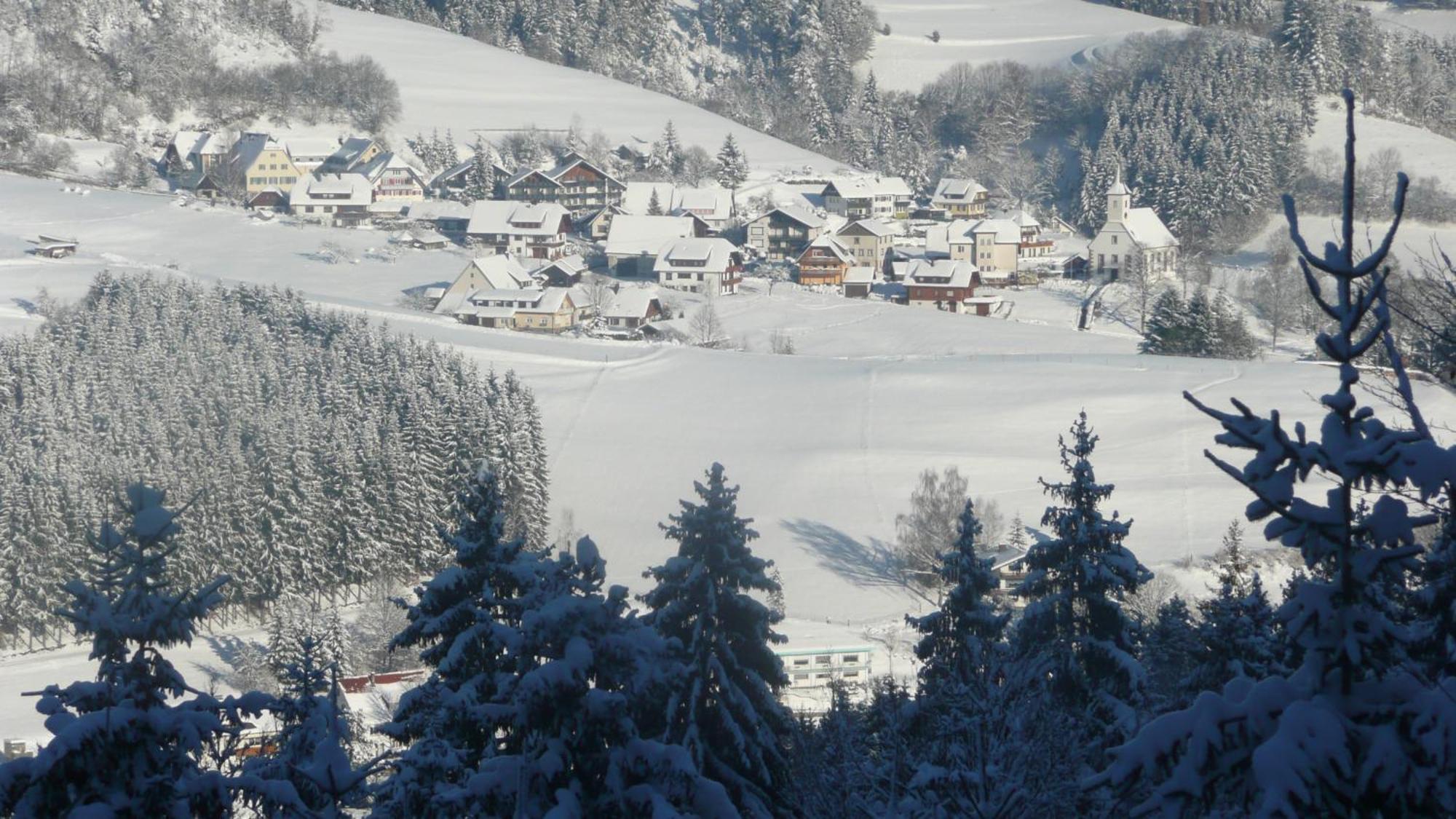 Sackmanns Wanderhotel Löwen Baiersbronn Exteriör bild