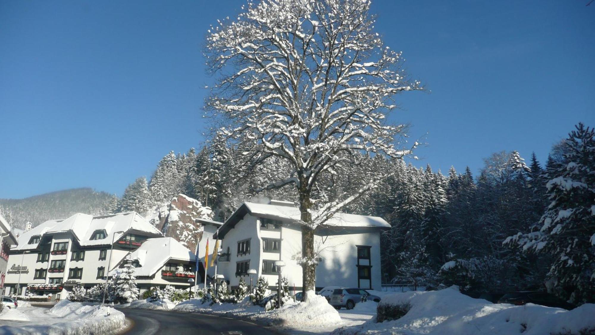 Sackmanns Wanderhotel Löwen Baiersbronn Exteriör bild