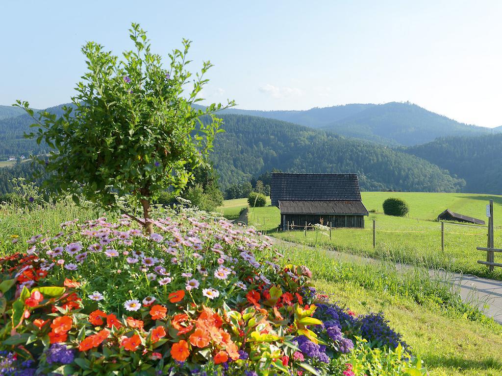 Sackmanns Wanderhotel Löwen Baiersbronn Exteriör bild
